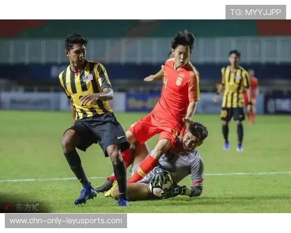 国家队是否建立了完整的人才追踪系统，国家队伍